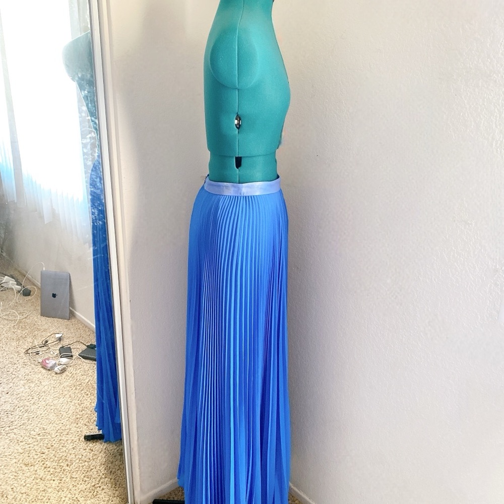 Blue Chiffon Pleated Alice + Olivia Maxi Skirt Size 4 - Picture 2 of 7